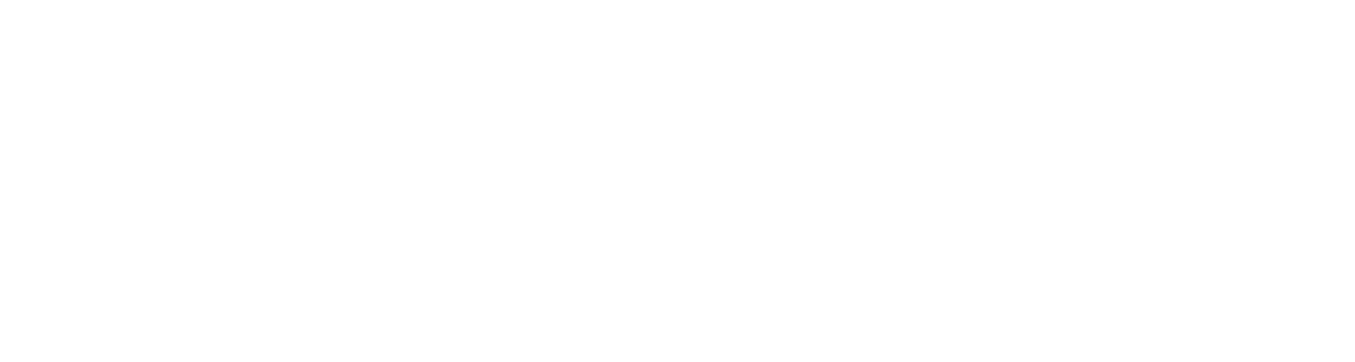 Clarioport